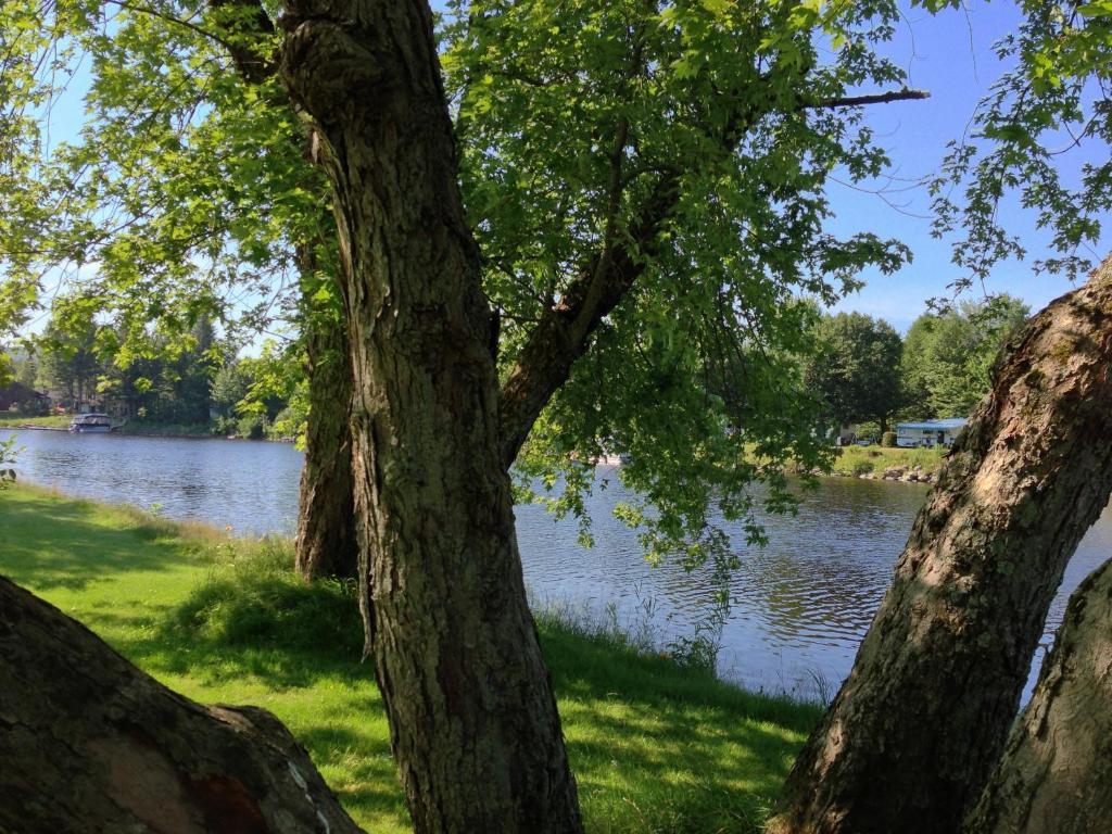 Le Reflet De La Riviere B&B Weedon-Centre Экстерьер фото